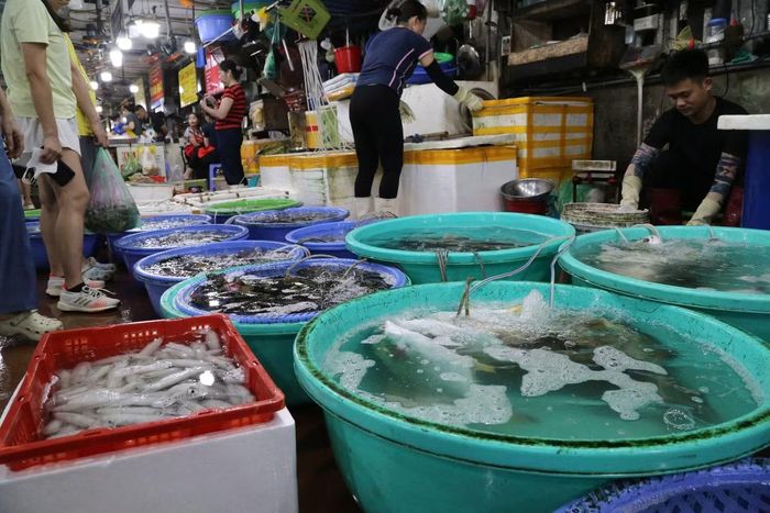 Khác với việc mua hải sản tại các cửa hàng thông thường, nhiều du khách tỏ ra thích thú khi được trực tiếp quan sát tôm, cua, cá, ốc còn sống trong các chậu nước. Những rổ cua được buộc dây gọn gàng, các chậu tôm, bề bề﻿, ốc liên tục sục khí tạo nên một không gian đặc trưng của khu chợ hải sản ven biển. 