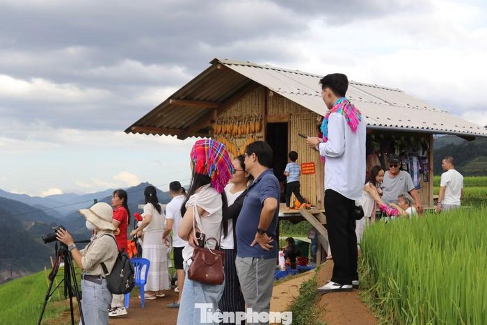 Ông Lê Xuân Dương, Trưởng Phòng Văn hóa - Xã hội xã Mù Cang Chải - cho biết, dịp này địa phương tổ chức chuỗi hoạt động trong Lễ hội Mùa Vàng để thu hút du khách trong dịp nghỉ lễ Quốc khánh như: Hội thi múa khèn Mông, trình diễn trang phục dân tộc, thi vẽ hoa văn bằng sáp ong, giã bánh giày, diễu diễn đường phố, chợ phiên giới thiệu nông sản, dược liệu, sản phẩm OCOP. Điểm nhấn của lễ hội là lễ chào cờ trên những thửa ruộng bậc thang diễn ra vào đúng ngày 2/9 trên khu vực đồi Móng Ngựa.