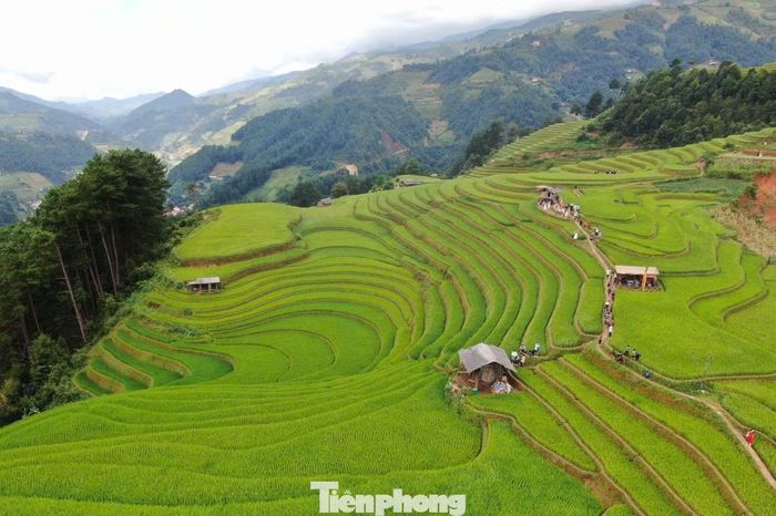 Dịp này diễn ra Giải chạy Mù Cang Chải Ultra Trail 2026, quy tụ hàng nghìn vận động viên trong nước và quốc tế.