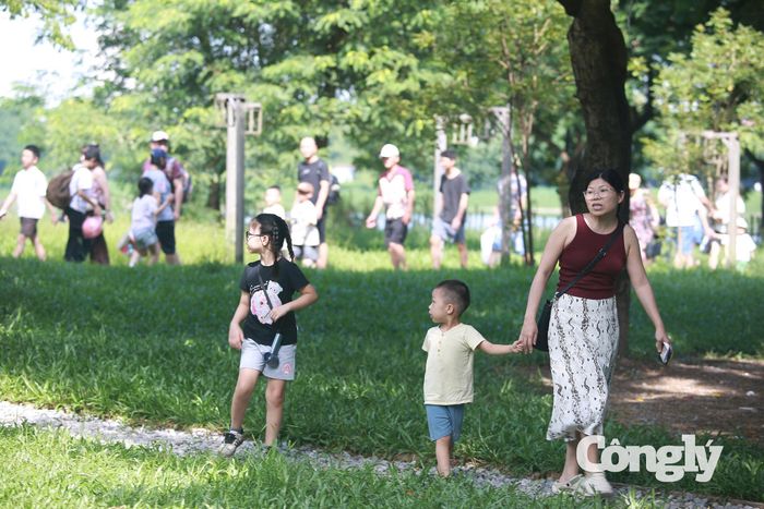 Không gian rộng, nhiều cây xanh khiến bầu không khí oi bức của Hà Nội trở nên mát dịu hơn.