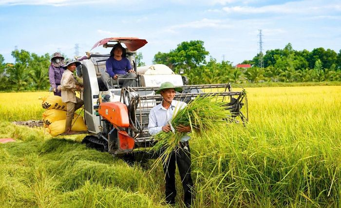 Doanh thu của trang trại đạt gần 1 tỷ đồng mỗi năm. Ảnh: T.A