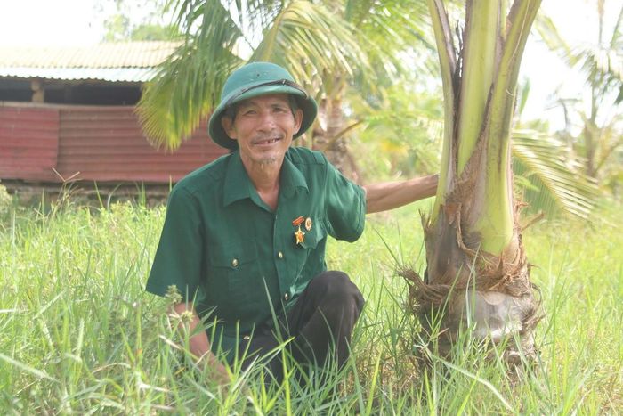 Xung quanh ruộng lúa và ao nuôi, ông Luân trồng khoảng 1.000 cây dừa cùng nhiều loại cây ăn quả. Ảnh: B.T