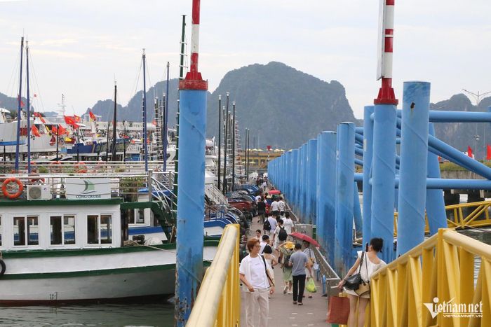 Du khách hào hứng trước khi lên tàu tham quan vịnh Hạ Long