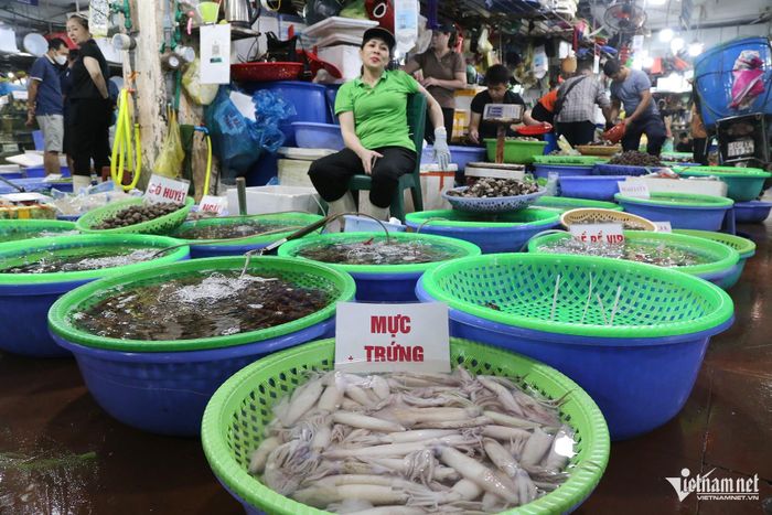 Vào dịp nghỉ lễ, giá hải sản không có nhiều biến động, tất cả đều được thu mua từ sáng sớm để phục vụ du khách
