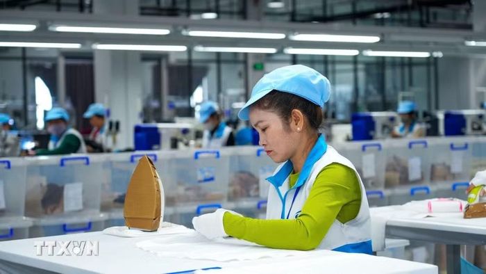 Công nhân tập trung làm việc tại nhà máy, góp phần tạo việc làm và thu nhập ổn định cho người lao động địa phương. (Ảnh: Minh Phú/TTXVN)