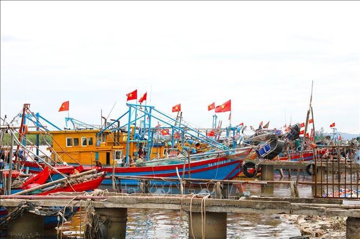 Hàng trăm tàu, thuyền đánh cá của ngư dân xã Diễn Châu (tỉnh Nghệ An) được ngư dân làng biển đồng loạt treo cờ Tổ quốc, tạo nên không khí rộn ràng, sắc màu rực rỡ tại khu neo đậu dịp Quốc khánh 2/9.