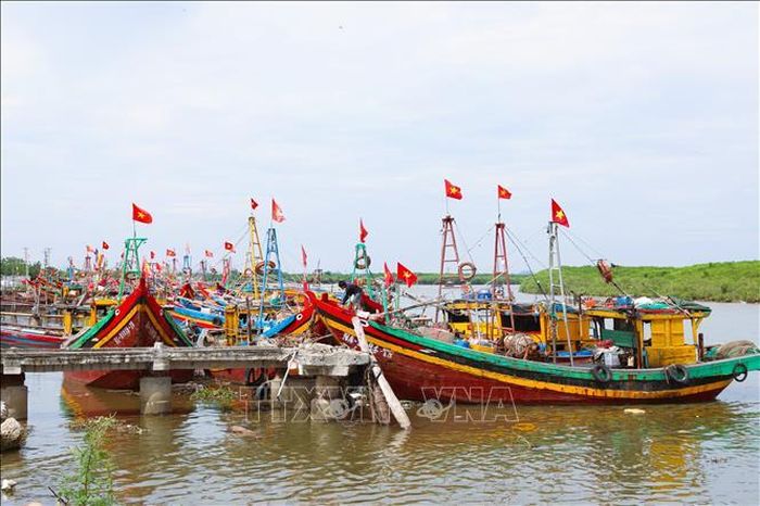Luồng tuyến neo đậu tàu thuyền trên sông Lạch Vạn (xã Diễn Châu, Nghệ An) nối với cửa biển được điểm tô bởi sắc đỏ cờ Tổ quốc trên hàng trăm tàu, thuyền đánh cá của ngư dân làng biển trong những ngày cận Quốc khánh 2/9.