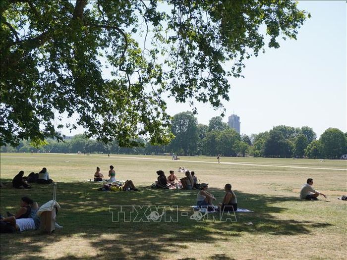 Người dân tránh nắng dưới bóng cây trong công viên tại London, Anh. Ảnh: THX/TTXVN