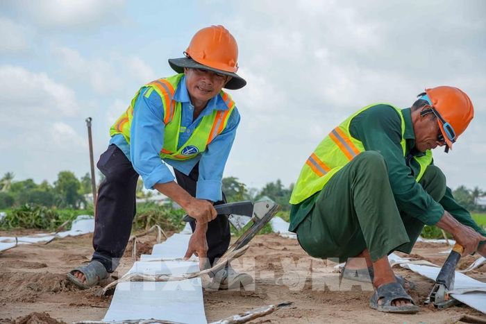 Công nhân thi công hạng mục gia cố nền đường ở gói thầu số 1, dự án thành phần 2 cao tốc Châu Đốc - Cần Thơ - Sóc Trăng. Ảnh: Thanh Liêm - TTXVN