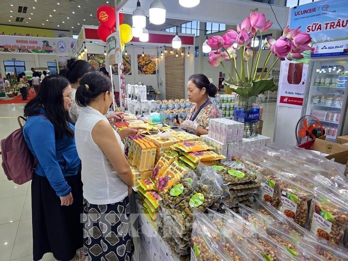Hàng Việt Nam giới thiệu đến người tiêu dùng. Ảnh: Trần Lê Lâm - TTXVN