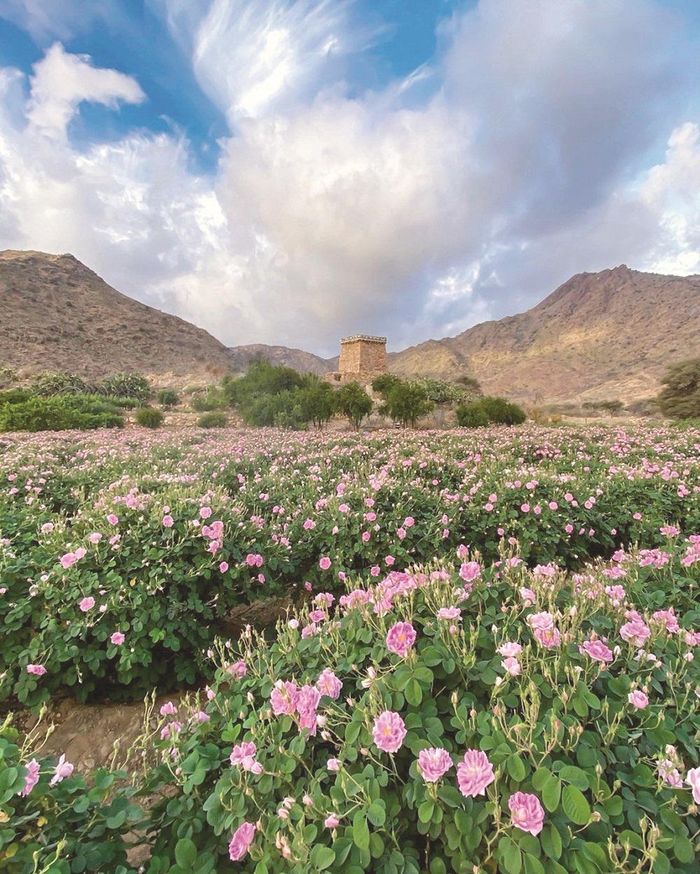 Ảnh: Arab News