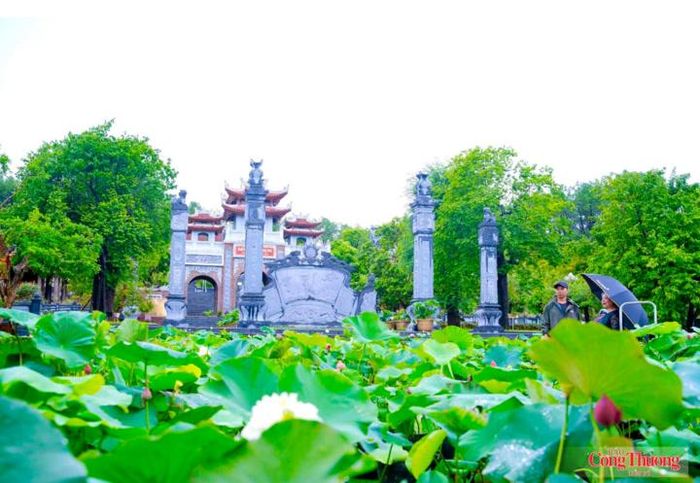 Các không gian ở xã Kim Liên rực sáng sắc sen, một hình ảnh thân thương, yên bình của quê Bác 