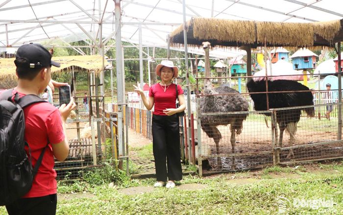 Du khách chụp hình khu vực vườn thú tại KDL Bửu Long. Ảnh: Thủy Mộc