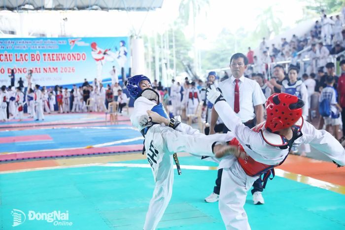 Các vận động viên tranh tài nội dung đồng đội nữ đối kháng. Ảnh: Huy Anh