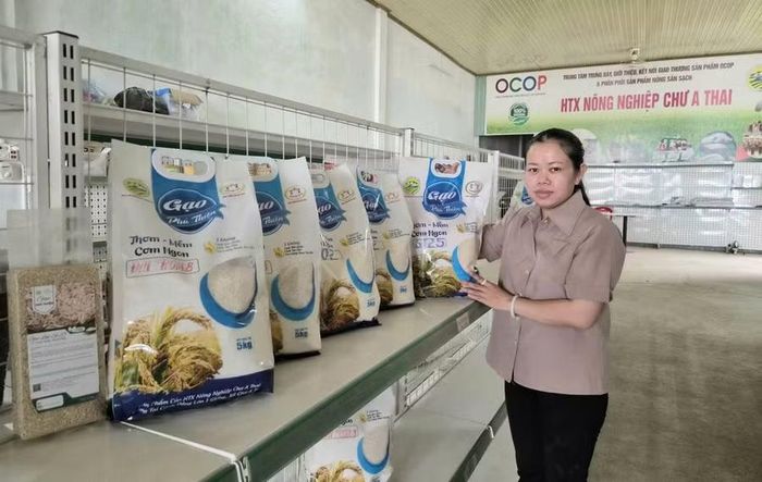  Hợp tác xã Nông nghiệp Chư A Thai đầu tư máy móc để nâng cao hiệu quả sản xuất, chế biến gạo. Ảnh: Hồng Thương 
