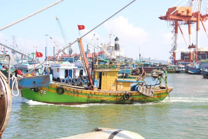  Chủ tịch UBND cấp xã chịu trách nhiệm nếu để tàu thuộc diện quản lý xuất bến trái quy định. Ảnh: TL 