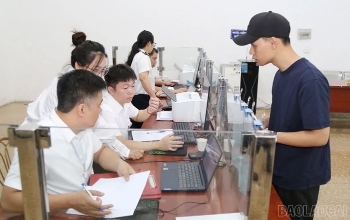 Doanh nghiệp thực hiện thủ tục đăng ký kiểm tra an toàn thực phẩm đối với các mặt hàng có nguồn gốc thực vật nhập khẩu.