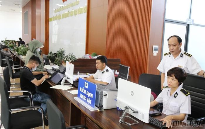 Tại Cửa khẩu Quốc tế đường bộ số II Kim Thành, các lực lượng chức năng phối hợp hướng dẫn doanh nghiệp thực hiện quy trình mới, bảo đảm không ảnh hưởng tiến độ thông quan.