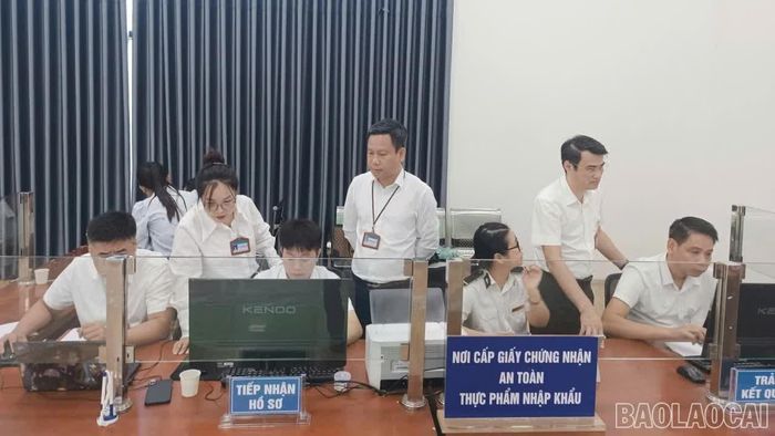 Cán bộ Chi cục Chất lượng và Phát triển nông thôn tiếp nhận hồ sơ đăng ký kiểm tra an toàn thực phẩm đối với hàng hóa nhập khẩu.