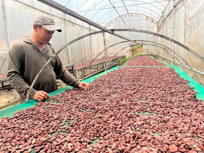 Hàng nông sản của Lâm Đồng dồi dào