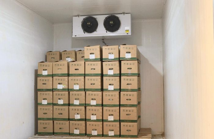 Kho lạnh do doanh nghiệp tự đầu tư ngay tại khu sản xuất
