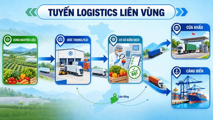 Đồ họa: Thúy Vi