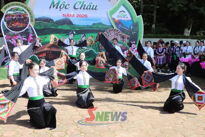 Tiết mục biểu diễn của dân tộc Thái.
