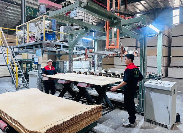 Ứng dụng máy móc hiện đại trong sản xuất ván ép tại Công ty TNHH Sao Việt Tuyên Quang.
