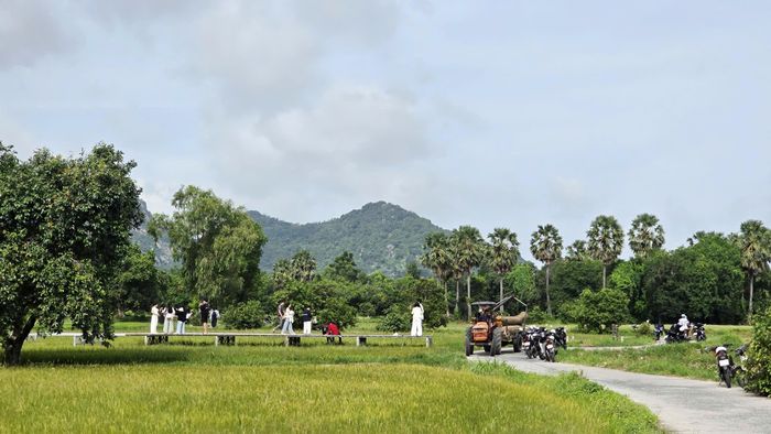 "Tọa độ" check in hot tại cánh đồng trâm ở xã Tri Tôn, tỉnh An Giang được rất đông bạn trẻ ưa thích xê dịch tìm đến trong dịp lễ Quốc khánh 2/9 năm nay. Giữa cánh đồng có con đường bê tông uốn lượn đi xuyên qua những thửa ruộng vàng rơm cùng những hàng cây thốt nốt bên cạnh tán trâm cổ thụ hơn trăm tuổi.