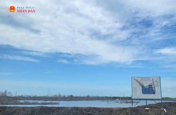 Dự án Dịch vụ hậu cần cảng do Công ty CP Tam Thắng làm chủ đầu tư đã được UBND tỉnh Bà Rịa - Vũng Tàu (cũ) cấp giấy chứng nhận đầu tư lần đầuvào tháng 1/2009. Ảnh: Quang Phương