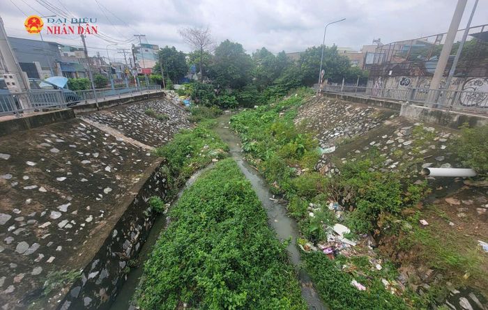 Một tuyến kênh đầy cỏ dại, rác thải tại khu vực nút giao đường Bế Văn Đàn - Trần Thị Vững thuộc khu vực giáp ranh giữa phường Dĩ An (khu vực phường An Bình cũ) và phường Tam Bình. Ảnh: Quang Phương ghi nhận vào ngày 18/8 vừa qua.