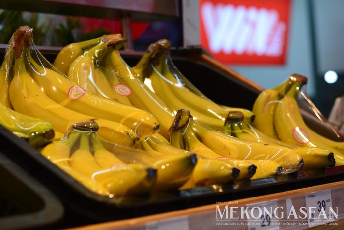 Chuối là một trong những mặt hàng rau quả xuất khẩu lớn nhất của Việt Nam. Ảnh minh họa: Lê Hồng Nhung - Mekong ASEAN