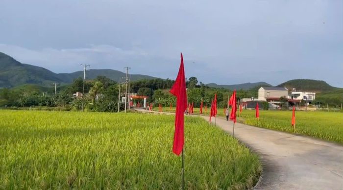 Đường làng Điểm du lịch cộng đồng Đồng Bớp yên bình