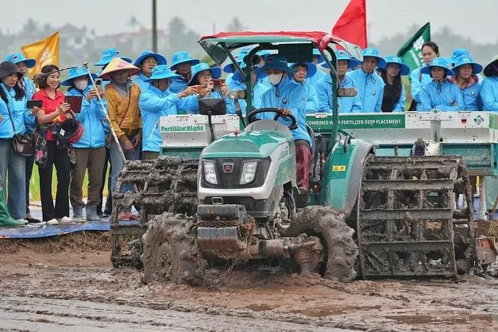 Mô hình canh tác lúa hiệu quả cao, phát thải thấp đã được triển khai tại Hưng Yên, Ninh Bình và Hải Phòng trong vụ Đông Xuân 2026.
