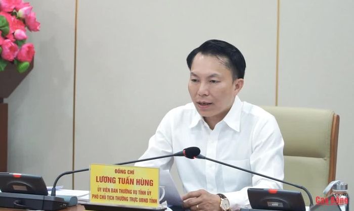 Phó Chủ tịch Thường trực UBND tỉnh Lương Tuấn Hùng phát biểu tại cuộc họp.