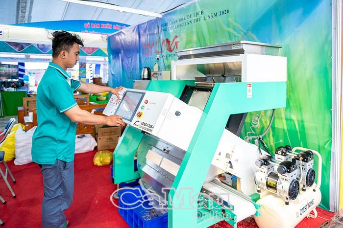 Máy tách màu tự động loại bỏ hạt lỗi, giúp gạo thương phẩm đạt độ đồng đều cao.