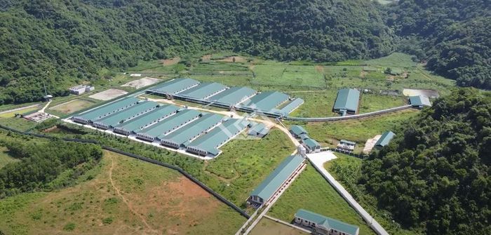 Nới điều kiện thành lập cụm công nghiệp, mở thêm dư địa cho doanh nghiệp. Ảnh minh họa