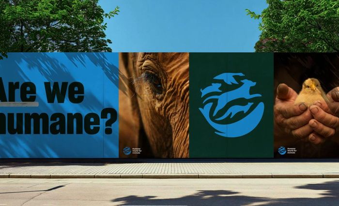 Lãnh đạo AMPA có mối liên hệ chặt chẽ với tổ chức Humane World for Animals, tiền thân là Hiệp hội Nhân đạo Hoa Kỳ