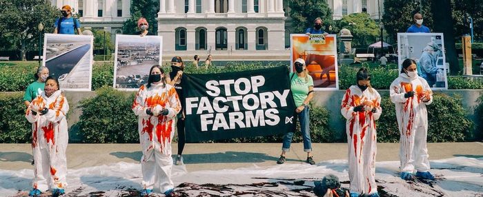 Báo cáo Hoạt động thuần chay cực đoan (Radical Vegan Activism) ghi nhận trong năm 2025 xảy ra 41 vụ phá hoại tài sản, 36 vụ trộm hoặc thả động vật, cùng 23 vụ xâm nhập trái phép
