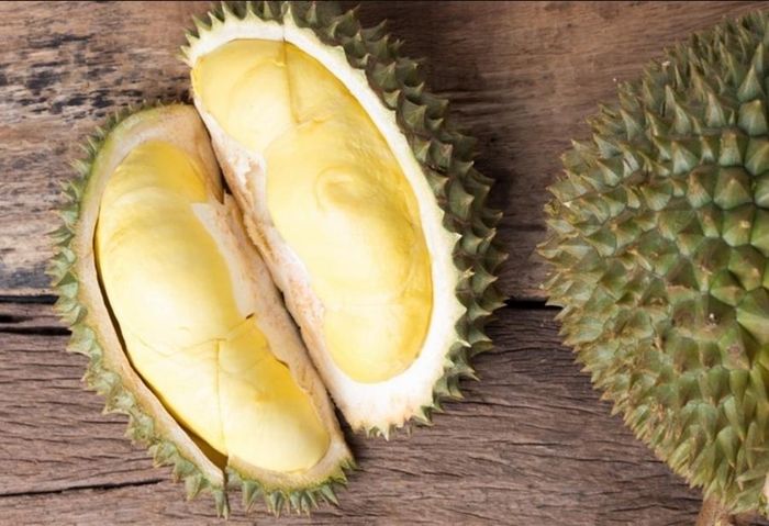 Đây là loại sầu riêng cao cấp nhất ở Thái Lan và thường được dùng làm quà biếu. Trong số các loại sầu riêng Nont, có hai loại nổi bật: loại đắt nhất, sầu riêng Kanyao và loại có giá cả phải chăng hơn một chút là sầu riêng Mon Thong. (Ảnh: Dutatv)