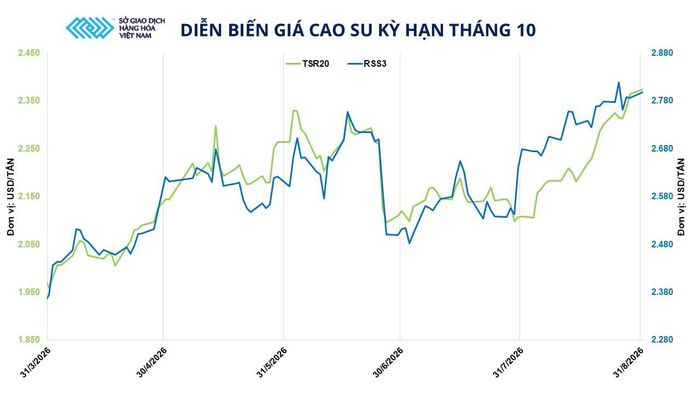 Diễn biến giá cao su kỳ hạn tháng 10. Nguồn: MXV
