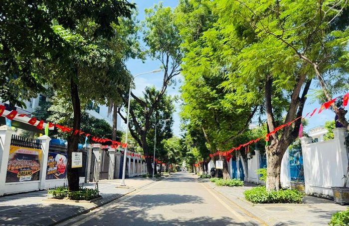Khu vực phố Trần Nguyên Đán sạch đẹp, rực rỡ. Ảnh: ND
