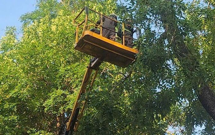 Làm việc ở độ cao hơn 20m. Ảnh: Bảo Hân