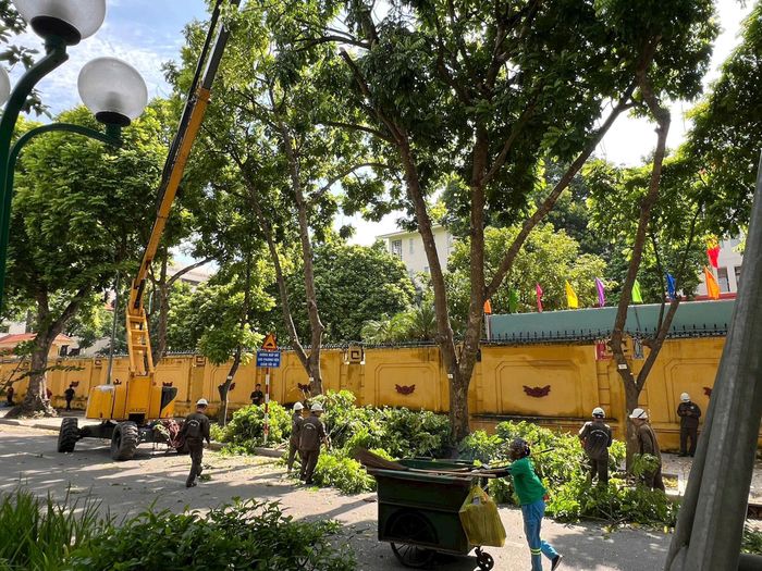 Công việc của người công nhân cây xanh ngày càng nhận được chia sẻ tích cực của người dân Thủ đô. Ảnh: Bảo Hân
