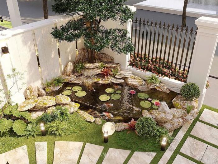 Hồ cá Koi ở góc sân trước nhà. 