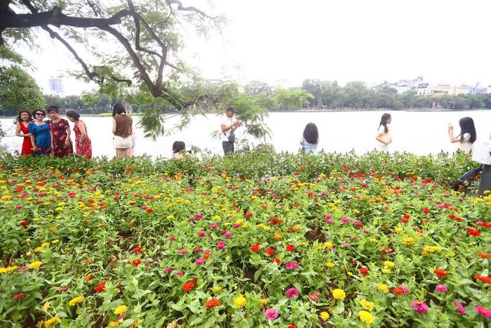 Các bạn trẻ tạo dáng bên thảm hoa, mang đến những bức ảnh đầy màu sắc giữa lòng Hà Nội