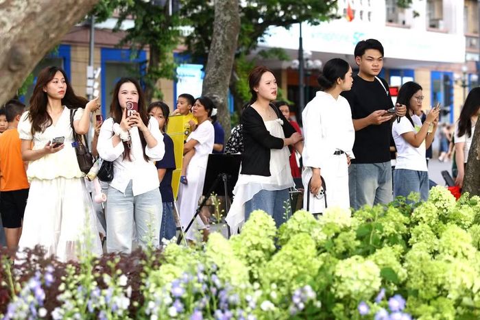 Dải hoa cẩm tú cầu cũng là tâm điểm chú ý của các bạn trẻ