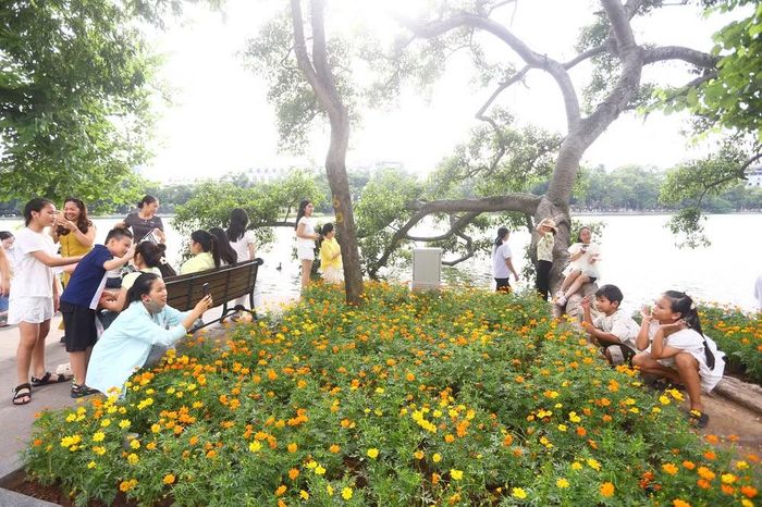 Một gia đình lưu lại bức ảnh kỷ niệm bên những khóm hoa rực rỡ quanh Hồ Gươm