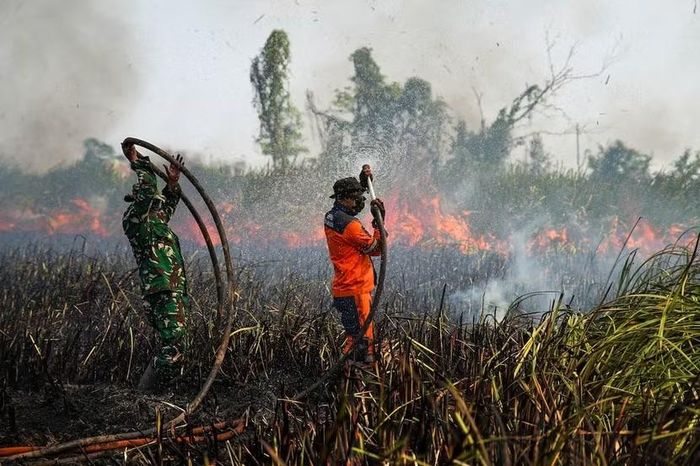 Lính cứu hỏa phun nước để dập tắt đám cháy rừng ở huyện Ogan Ilir, tỉnh Nam Sumatra, Indonesia ngày 2-9-2026