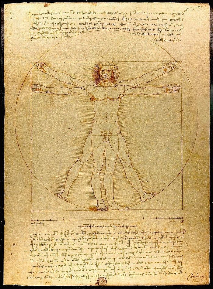 Tác phẩm nổi tiếng Người Vitruvius (chi tiết) do thiên tài Leonardo da Vinci vẽ vào khoảng năm 1490. Ảnh: wikipedia.